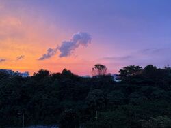 The Visionaire (D27), Condominium #454391611